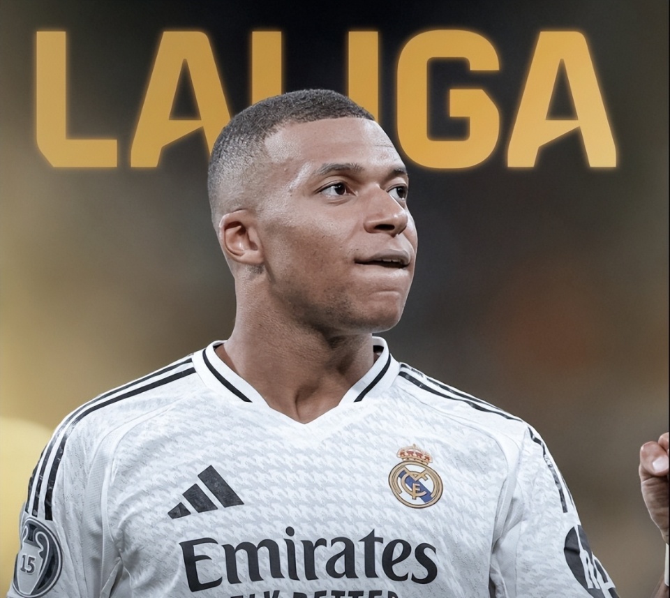 卫后分球肋 卫后分球肋